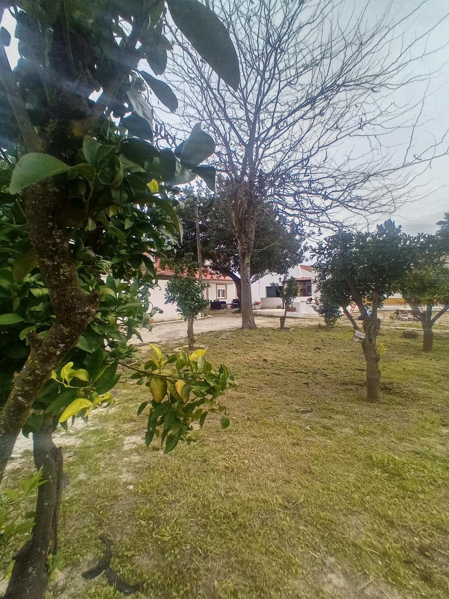 O Mundo Da Lua Vila Azeitão Exterior foto