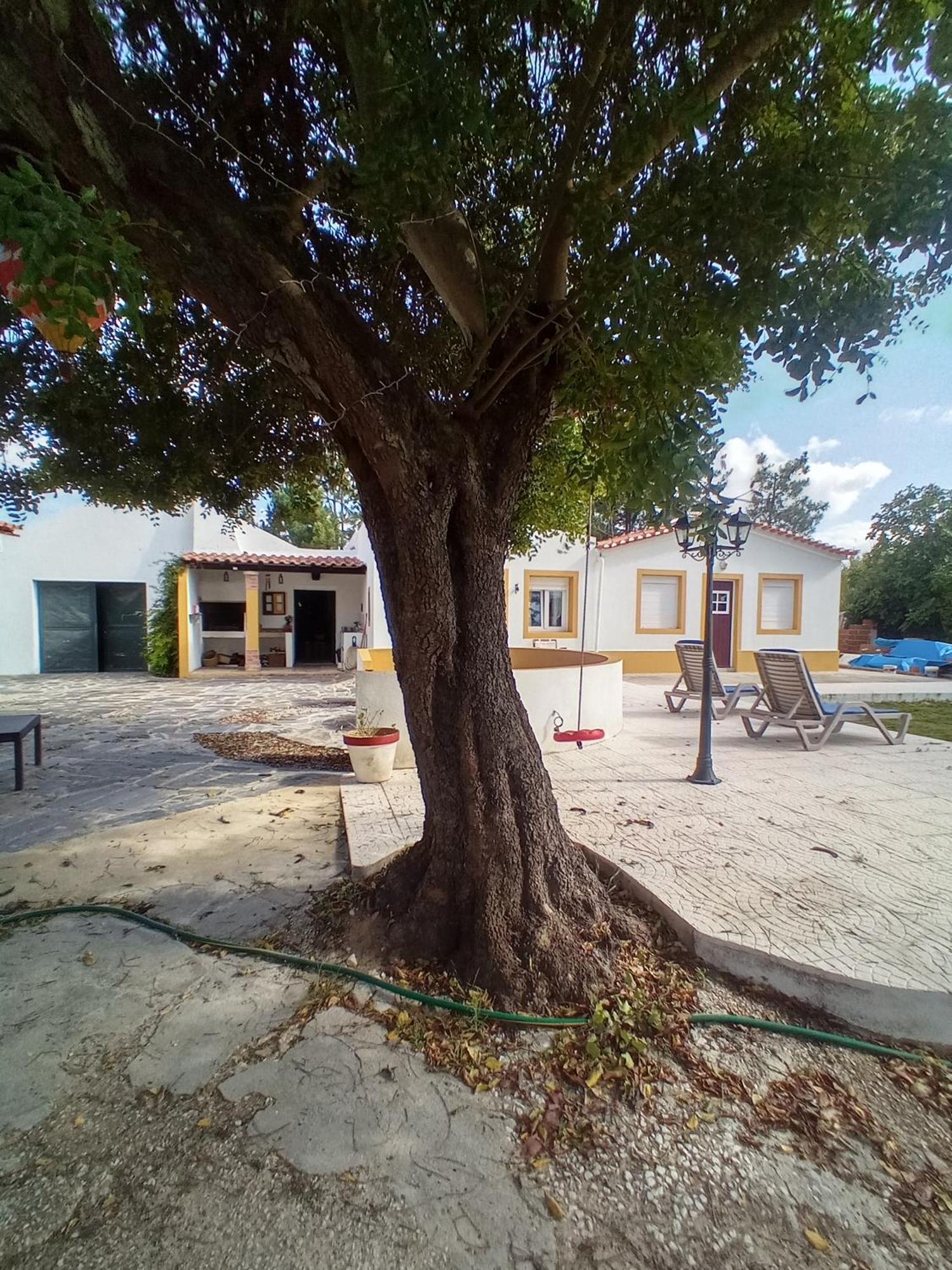 O Mundo Da Lua Vila Azeitão Exterior foto